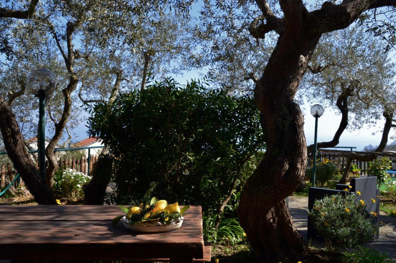 Casa Il Negrito