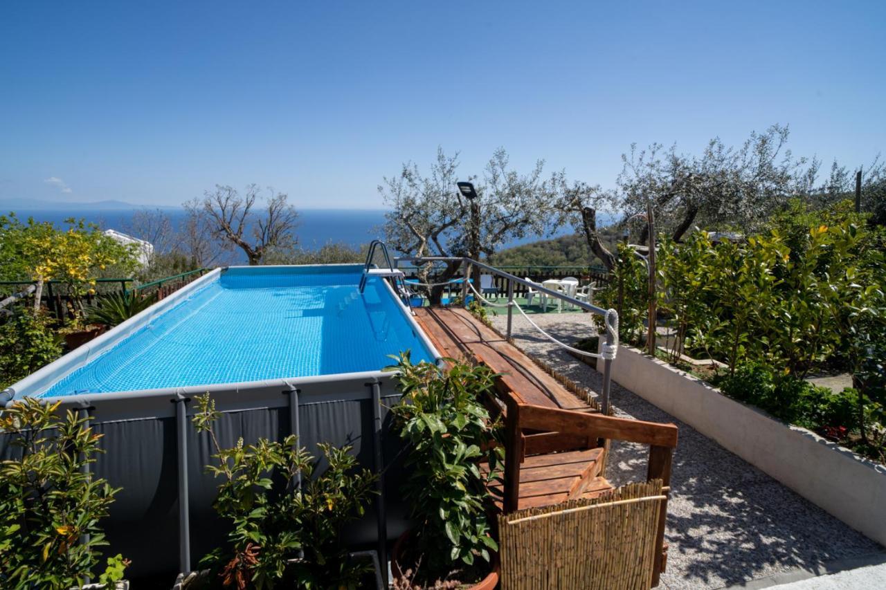 Casa Il Negrito