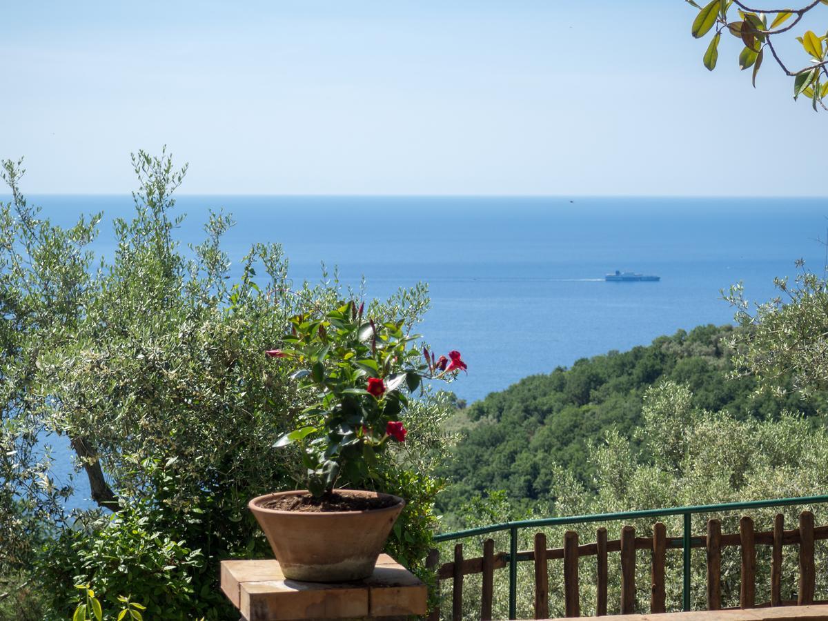 Casa Il Negrito *