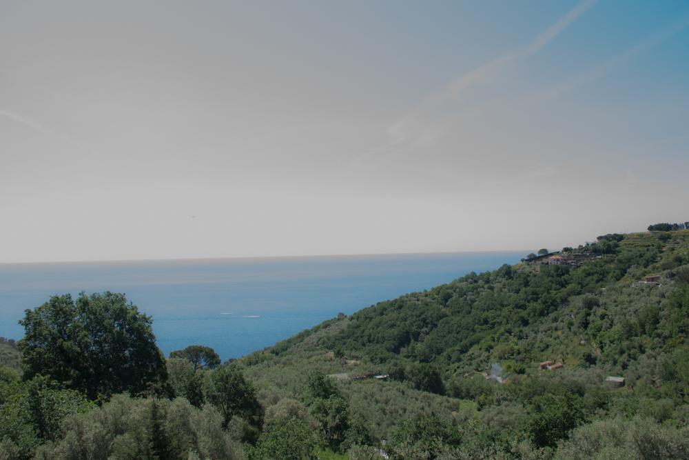 Casa Il Negrito * Massa Lubrense