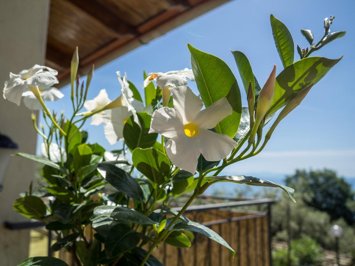 Holiday home Casa Il Negrito Massa Lubrense